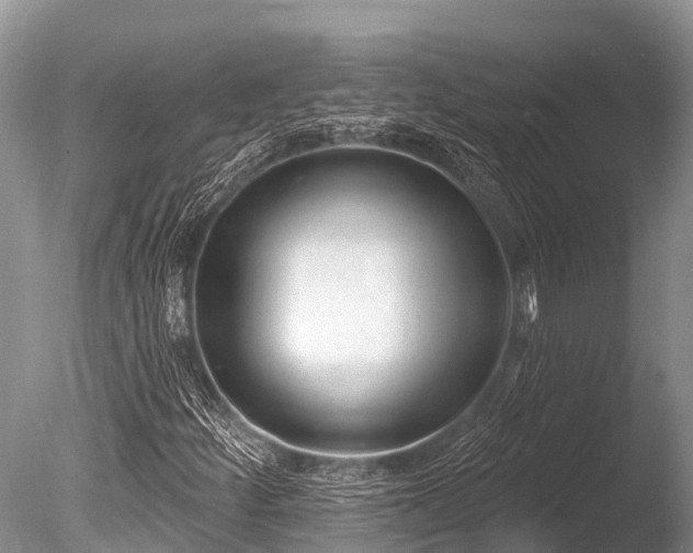 X0000086051252200703301056