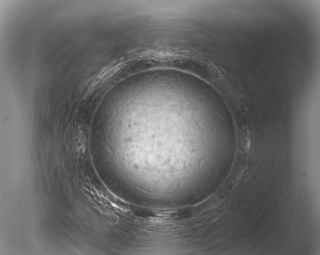 X0000086051253200703301056