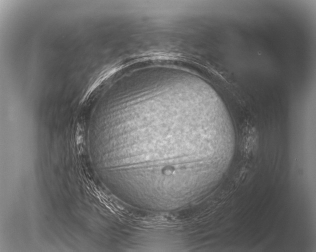 X0000086051255200703301056