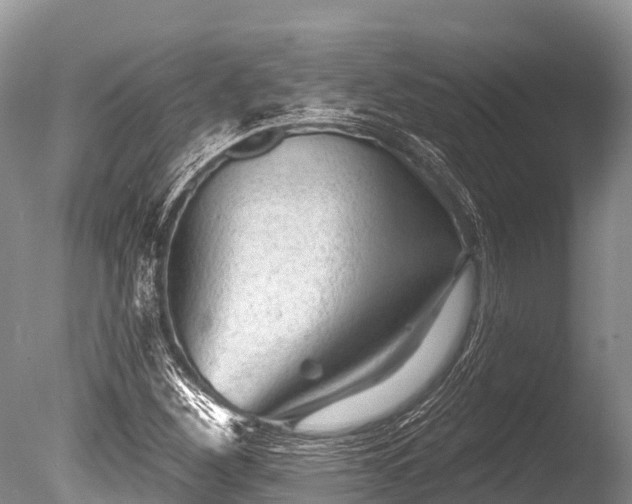 X0000086051260200703301056