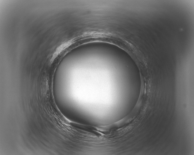 X0000086051261200703301056
