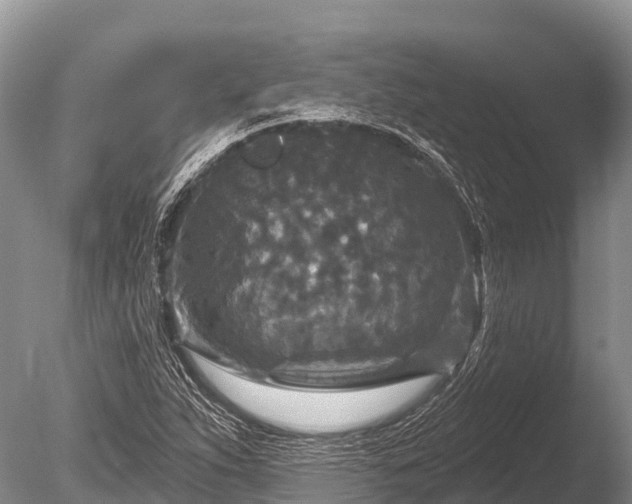 X0000086051263200703301056