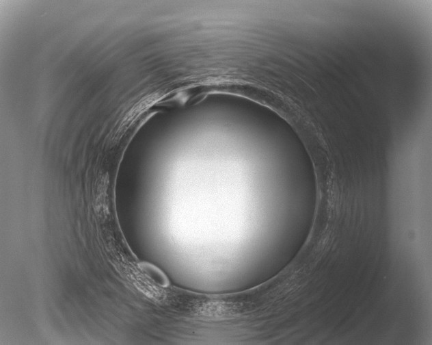X0000086051265200703301056