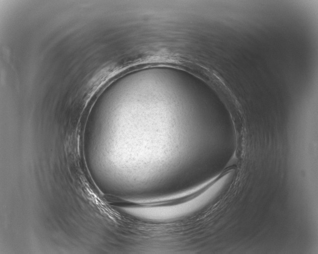 X0000086051268200703301056