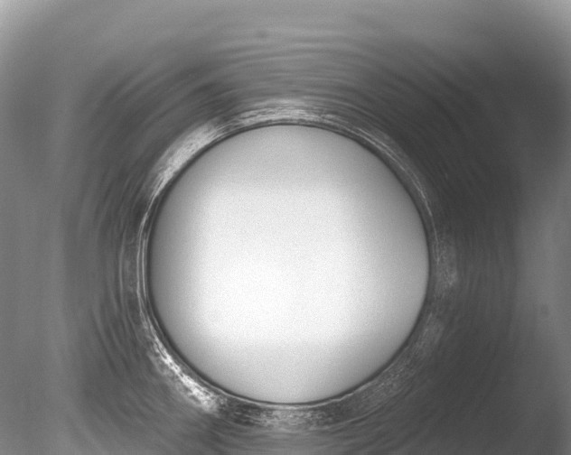 X0000086051290200703301056