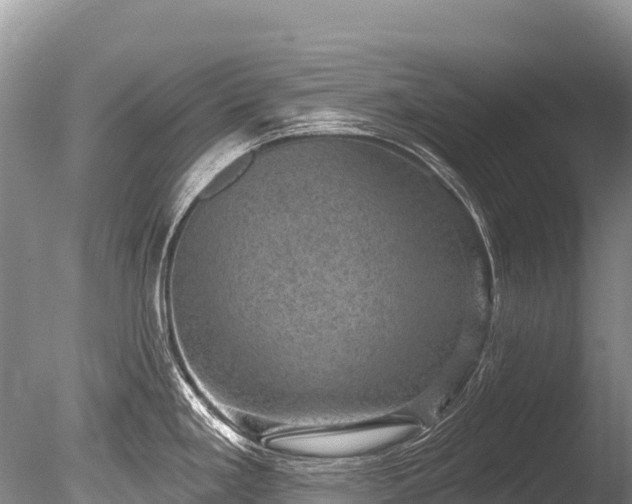 X0000086051293200703301056