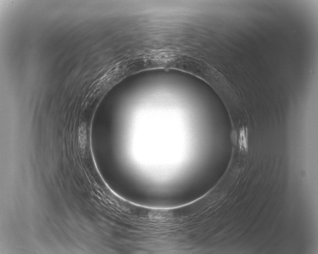 X0000086051299200703301055