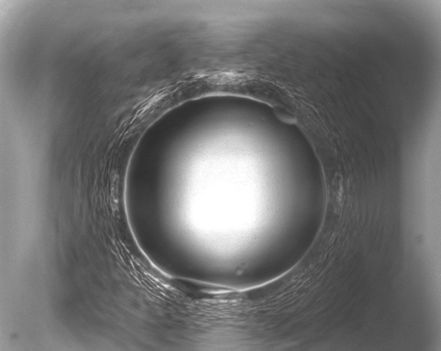 X0000086051301200703301055
