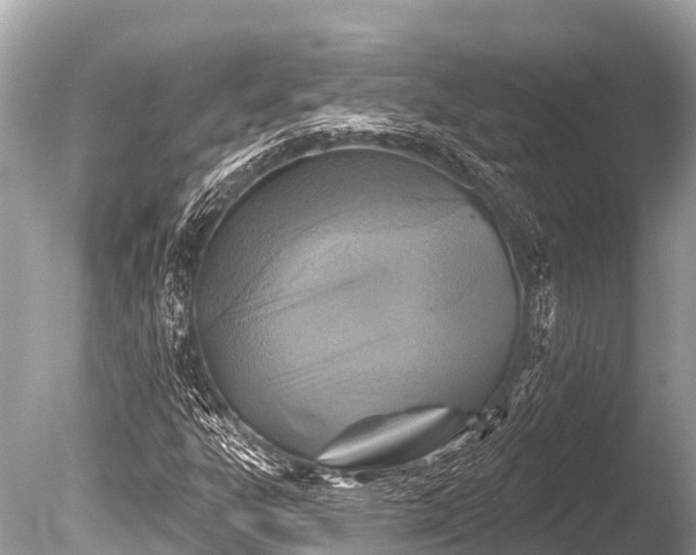 X0000086051303200703301055