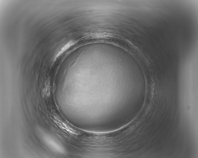 X0000086051306200703301055
