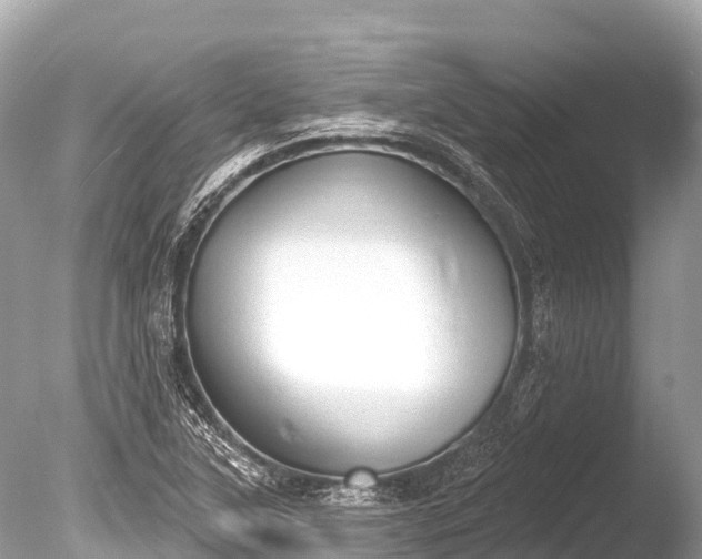 X0000086051315200703301055