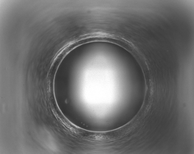 X0000086051318200703301055
