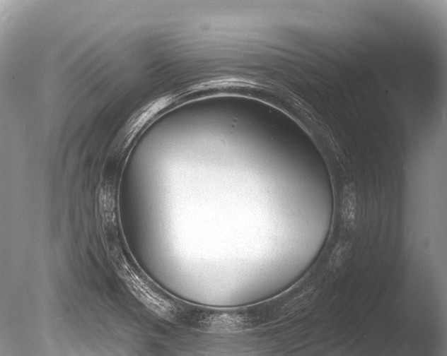 X0000086051321200703301055