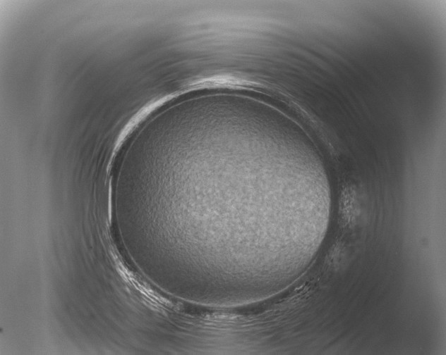 X0000086051323200703301055