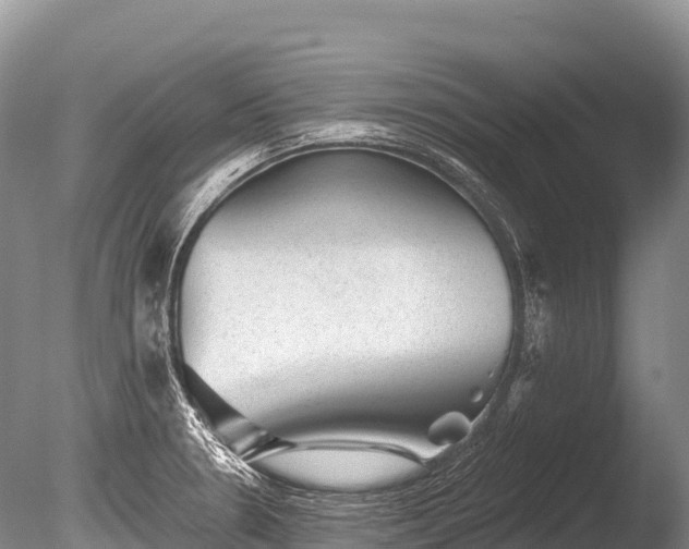 X0000086051330200703301055