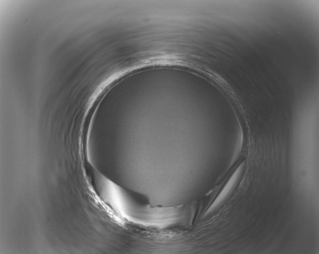 X0000086051334200703301056