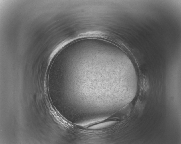 X0000086051336200703301056