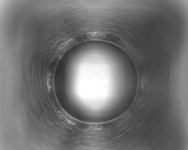 X0000086051346200703301055