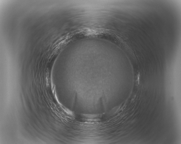 X0000086051348200703301055