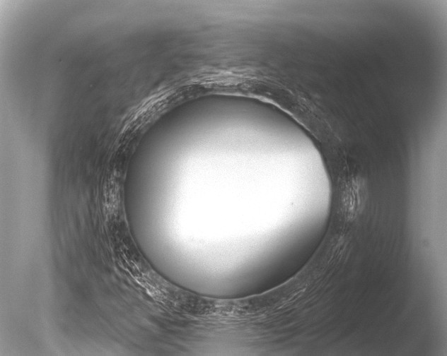 X0000086051350200703301055