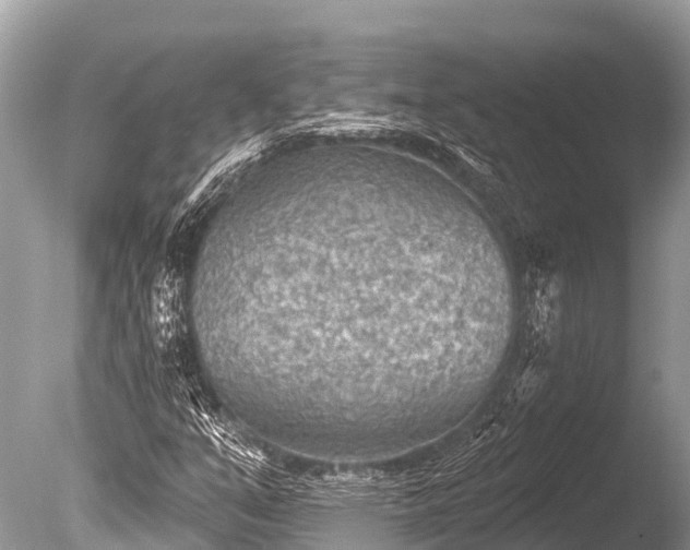 X0000086051351200703301055