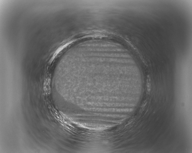 X0000086051352200703301055