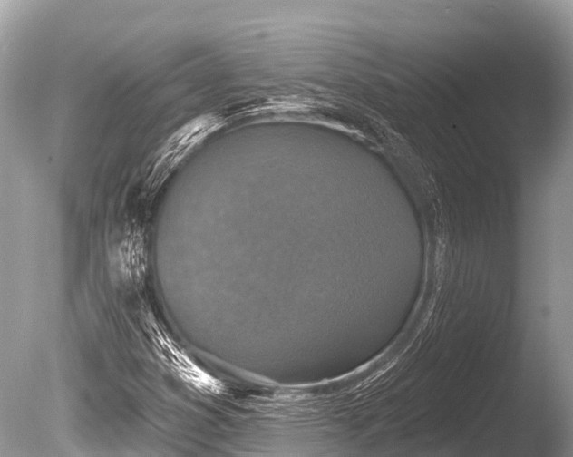 X0000086051353200703301055