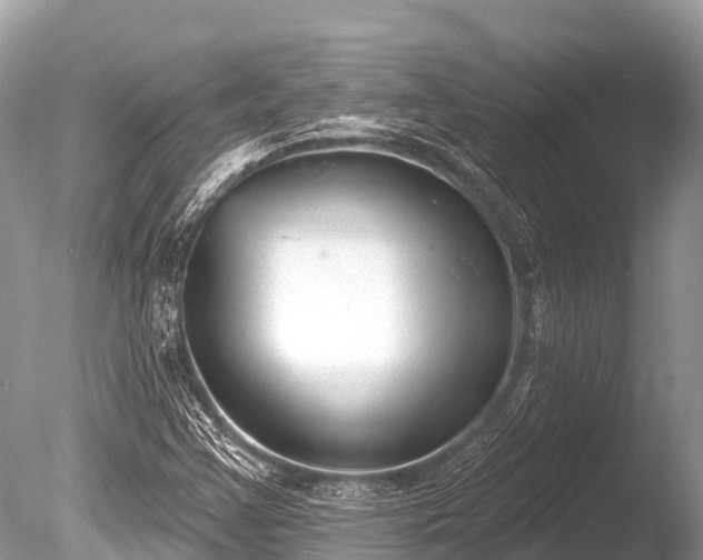 X0000086051355200703301055