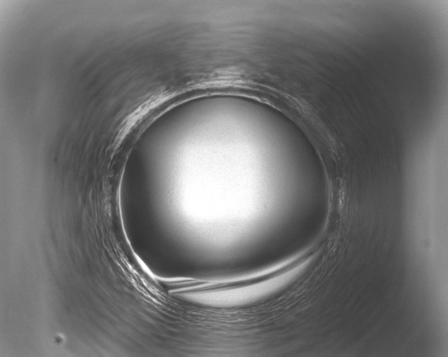 X0000086051356200703301055