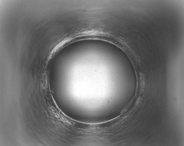 X0000086051358200703301055