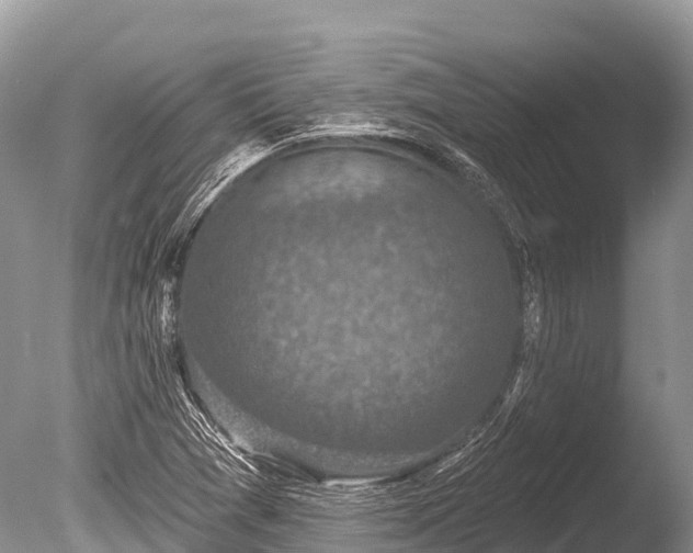 X0000086051361200703301055