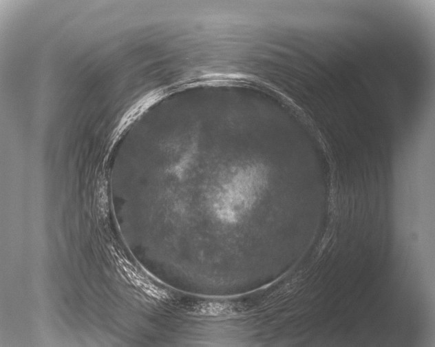 X0000086051362200703301055