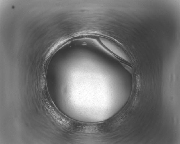 X0000086051363200703301055