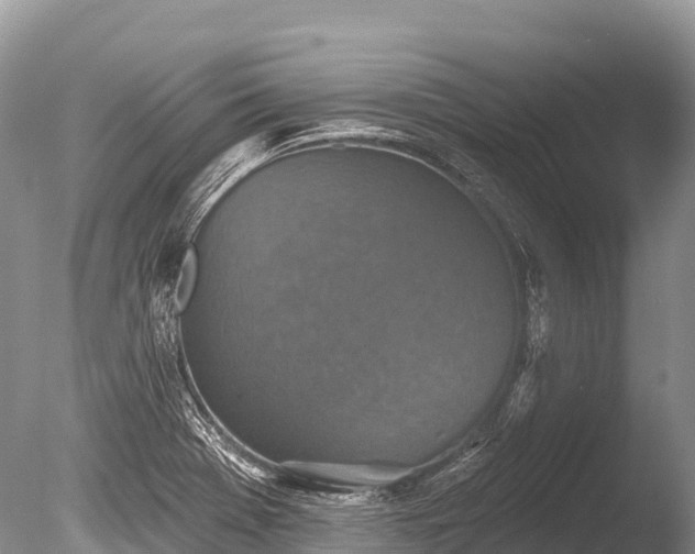 X0000086051369200703301054
