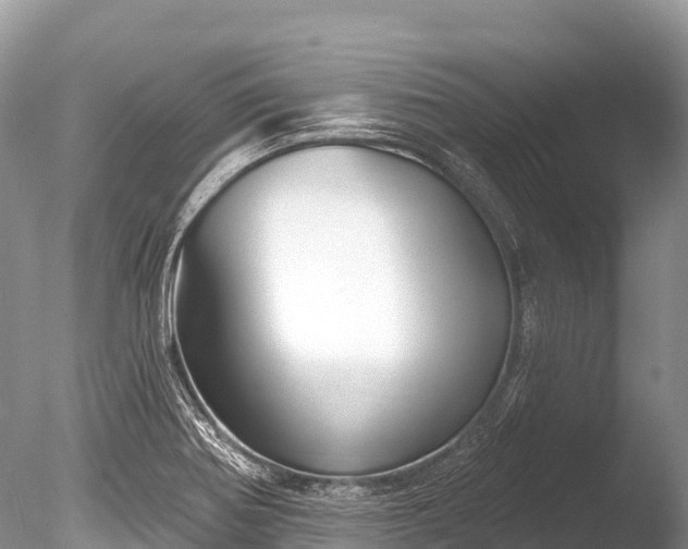 X0000086051370200703301054