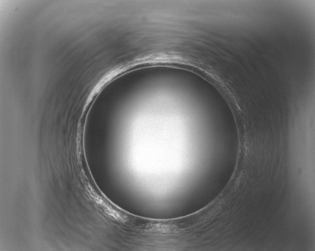 X0000086051374200703301054