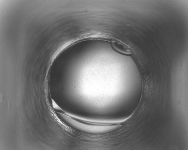 X0000086051375200703301054