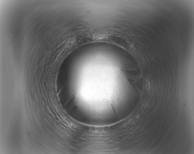 X0000086051393200703301053