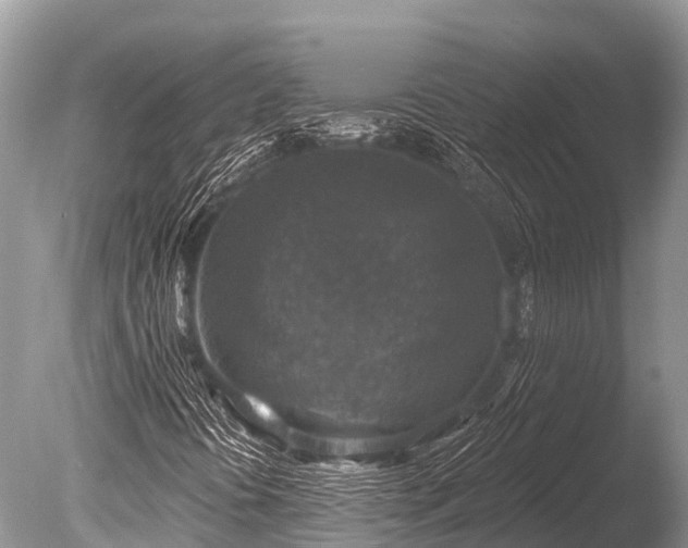 X0000086051394200703301053