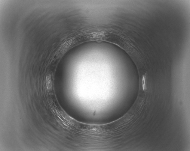 X0000086051395200703301053