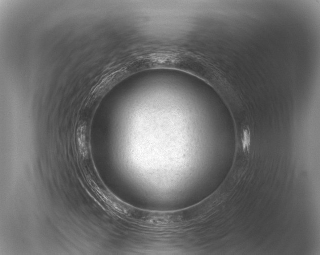 X0000086051396200703301053