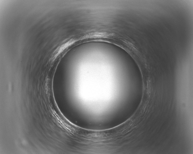 X0000086051404200703301053
