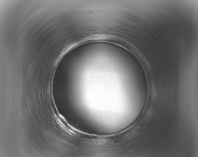 X0000086051417200703301054
