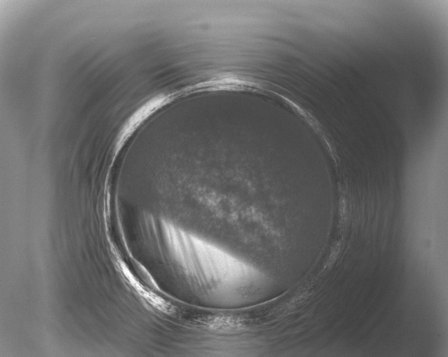 X0000086051418200703301054