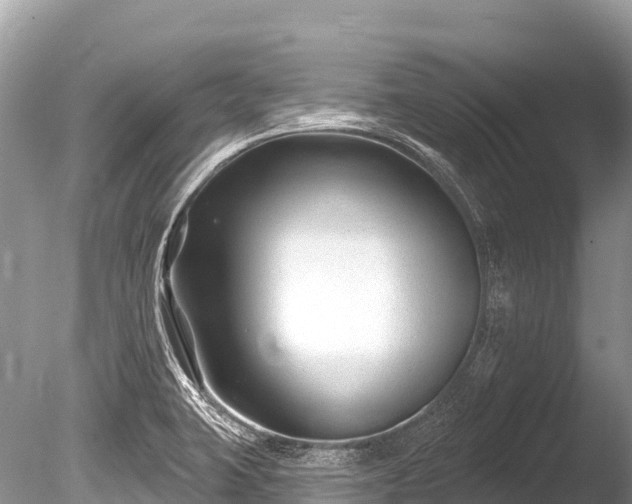 X0000086051423200703301054