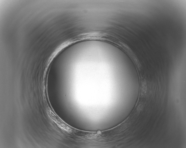 X0000086051435200703301054