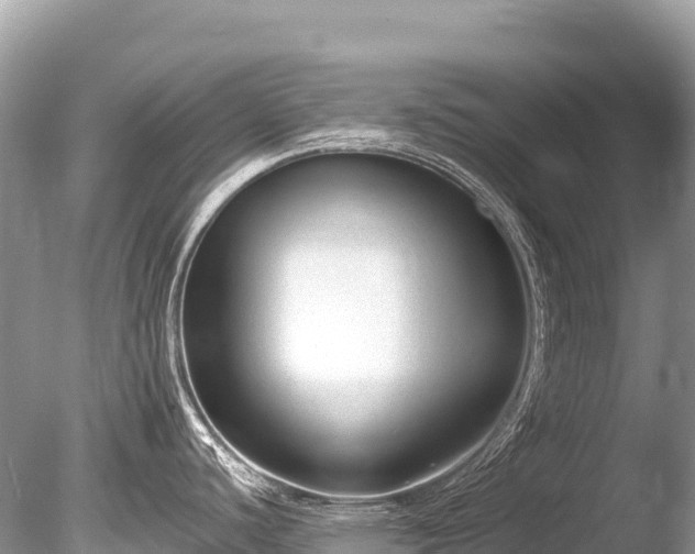 X0000086051440200703301054