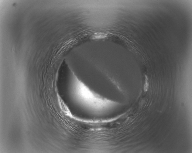 X0000086051441200703301053