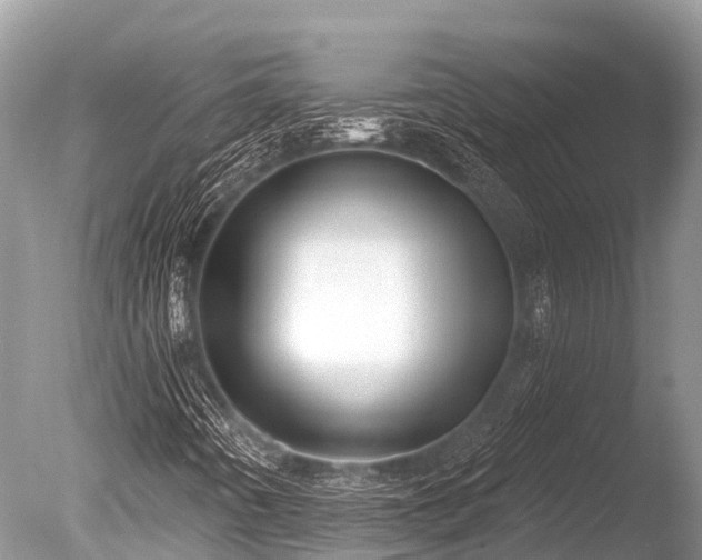 X0000086051442200703301053