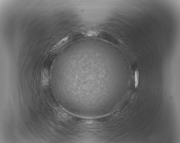 X0000086051443200703301053